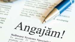 Institutul de Reforme Penale (IRP) angajează Coordonator/oare de proiect