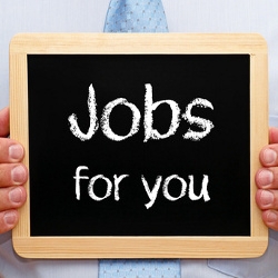 Institutul de Reforme Penale angajează asistent/ă de proiect  (full-time)
