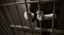Institutul de Reforme Penale va contribui la promovarea activităților Consiliului pentru Prevenirea Torturii (CpPT)